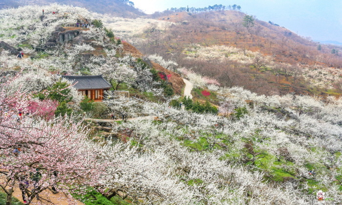 이미지 미리보기
